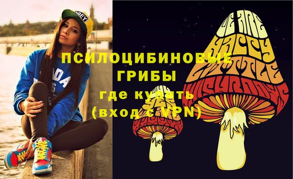 2c-b Алзамай