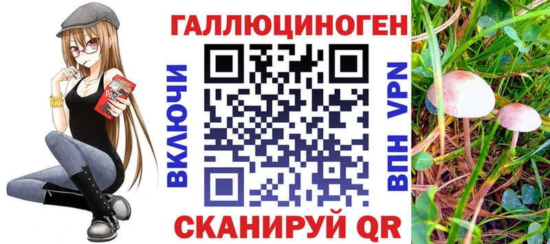 Галлюциногенные грибы Magic Shrooms  Морозовск 