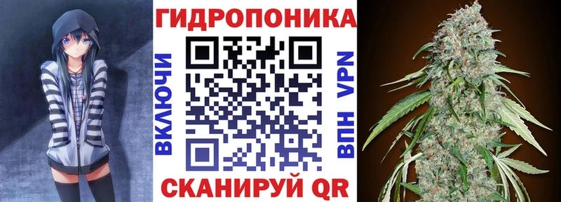 darknet как зайти  МЕГА ссылки  Морозовск  даркнет сайт  Шишки марихуана VHQ 